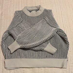 Aerie Crewneck Sweater in Blue and Cream Stripes